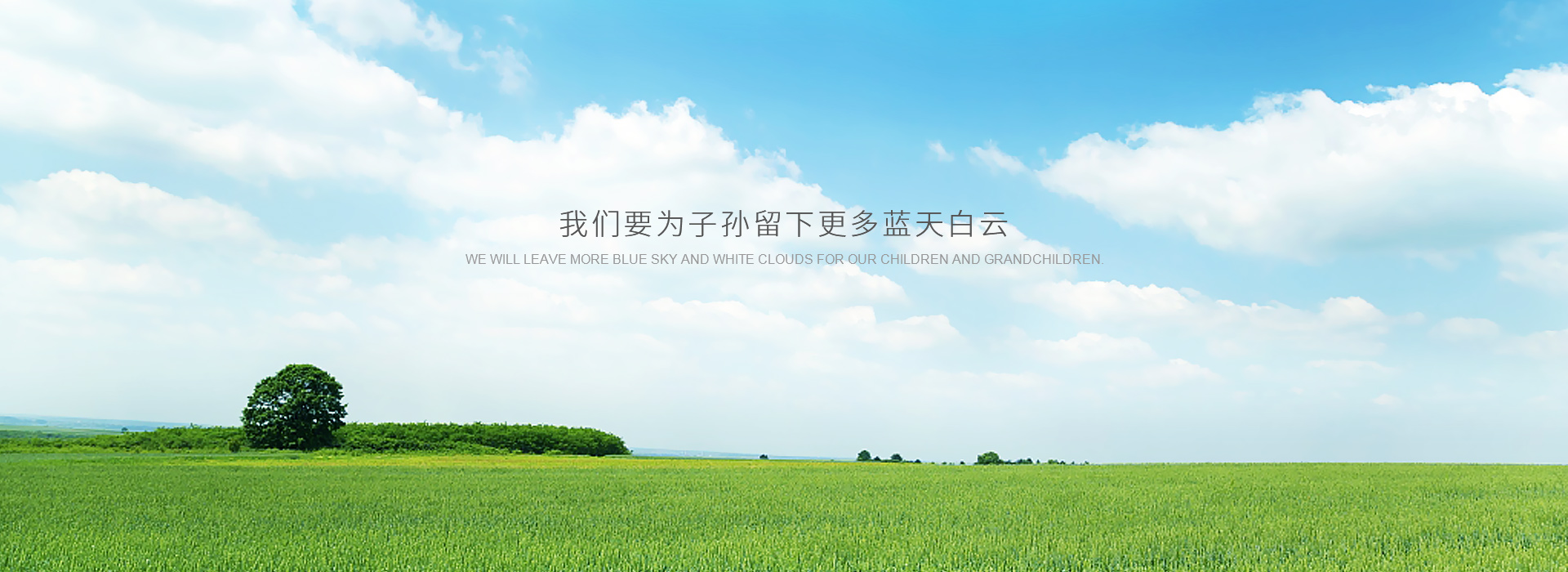 公司环境